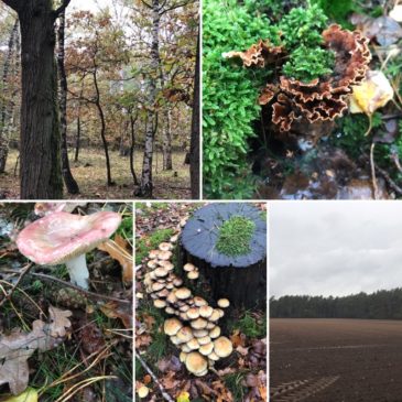 Familiennachmittag in Rheine