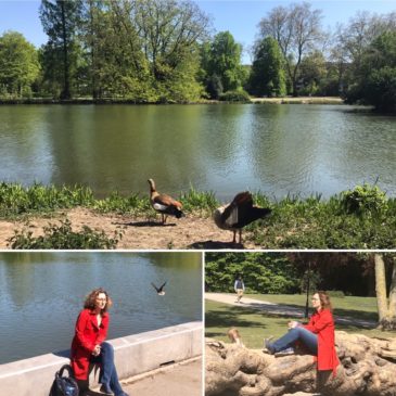 Zoopark
