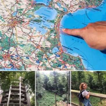 Ausflug zum Baumwipfelpfad in Rügen