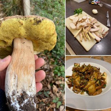 Durch das Neandertal