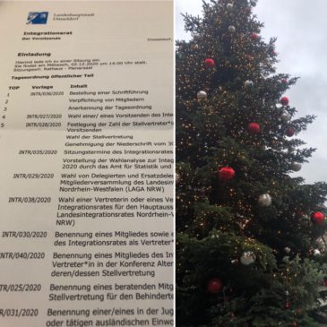 Sitzung des Integrationsrates der Stadt Düsseldorf