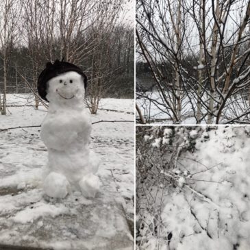 Endlich schneit es in Düsseldorf