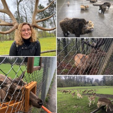 Ausflug in den Wildpark