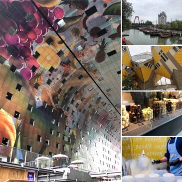 Ein Nachmittag in Rotterdam