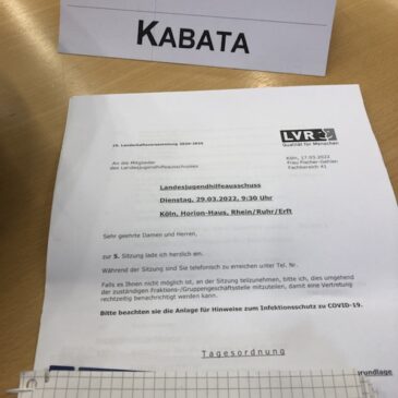 Landesjugendhilfeausschuss