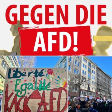 Anti-AFD-Demo in Düsseldorf