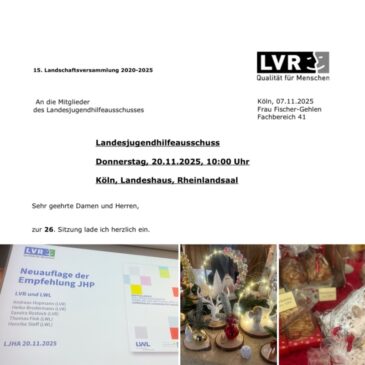 Landesjugendhilfeausschuss in Köln