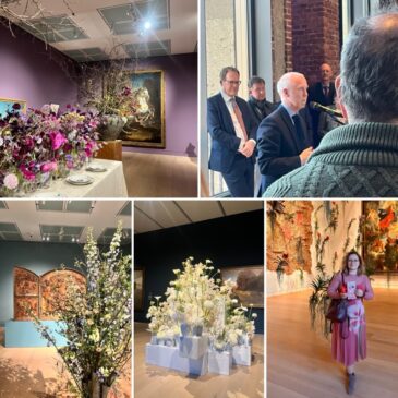 Palastblühen in Düsseldorf